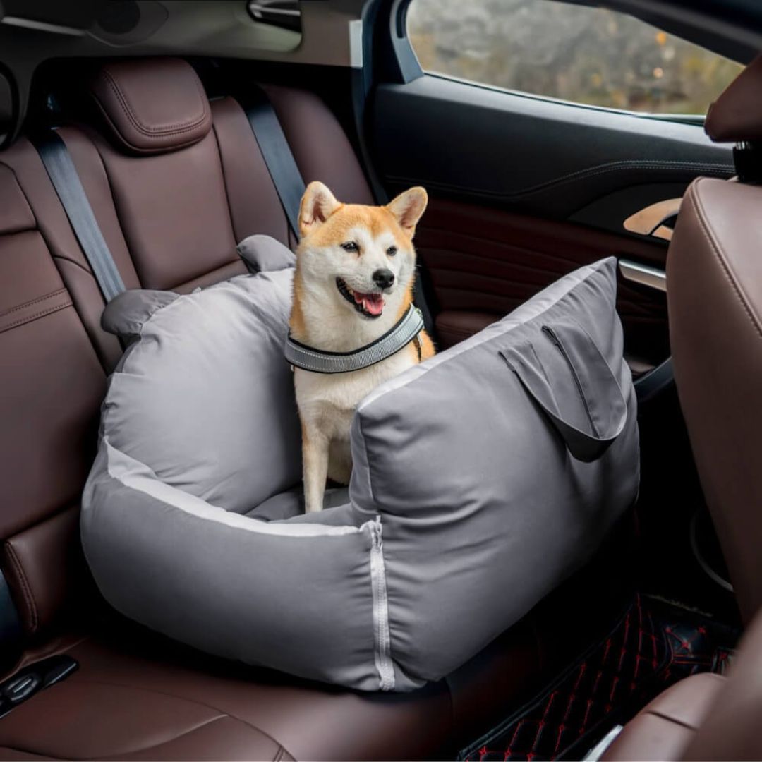 Hund Autositz | Hundesitz für die Rückbank | Hundetransportbox | Hundebox
