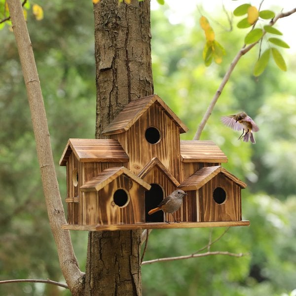 Vogelhaus - Funktionale Nistbox für kleine Vögel