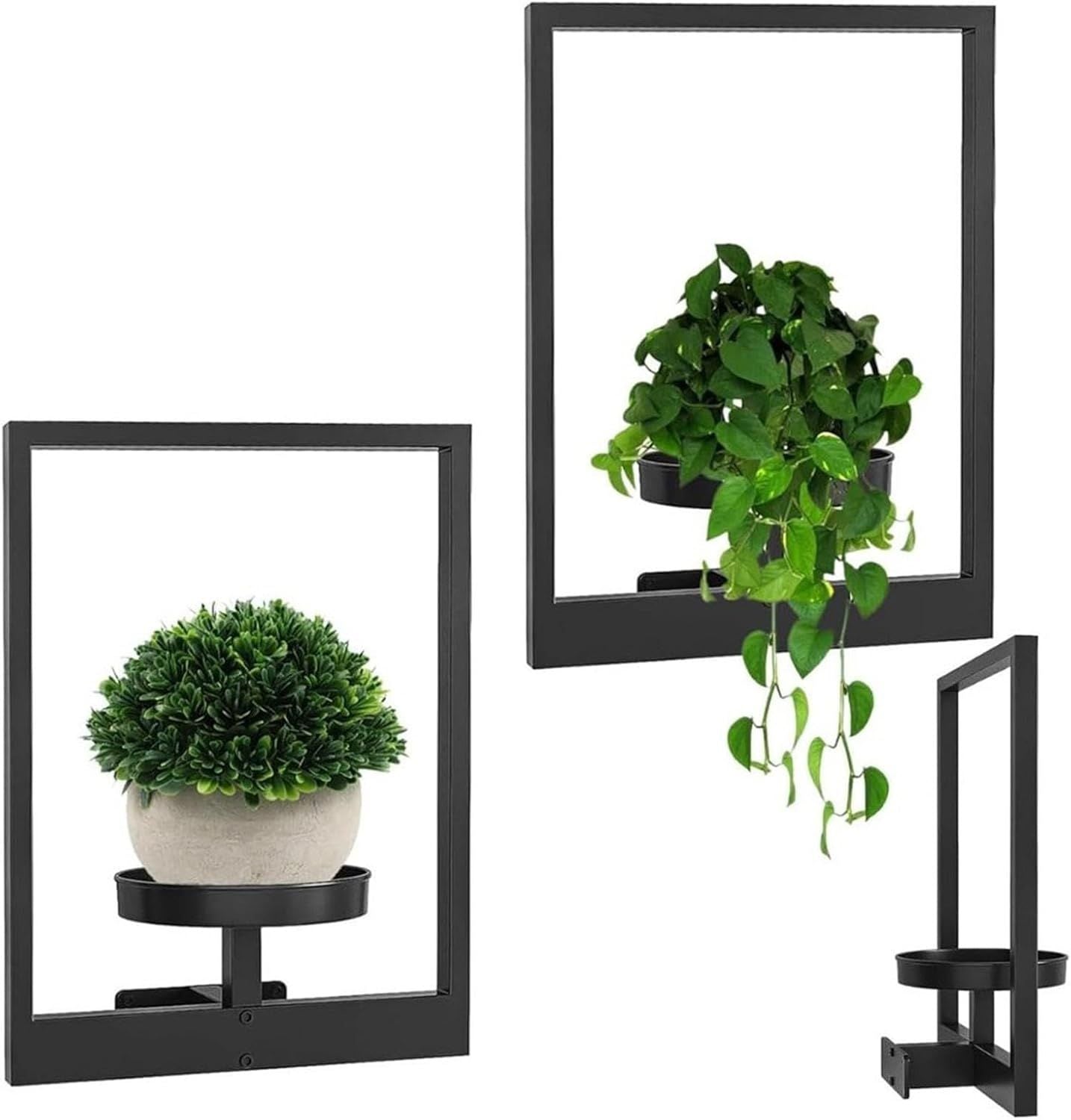 Wandhalterung für Pflanzen | Pflanze Wand | GreenWall