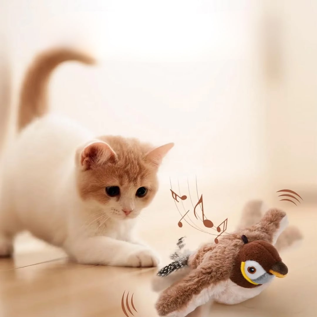 Katzenspielzeug | Flatternder Vogel Katzenspielzeug | Interaktiv und Spaßig | Miaulino
